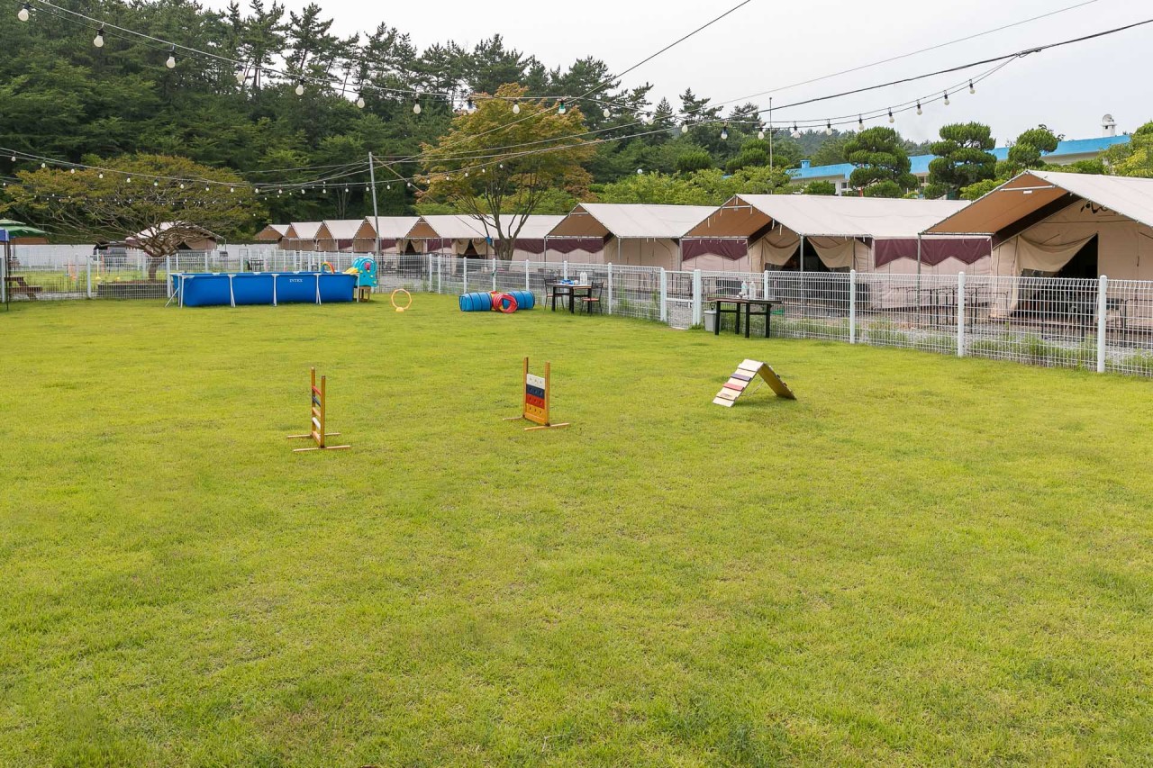 서산 애견글램핑펜션 펫앤트리 이미지